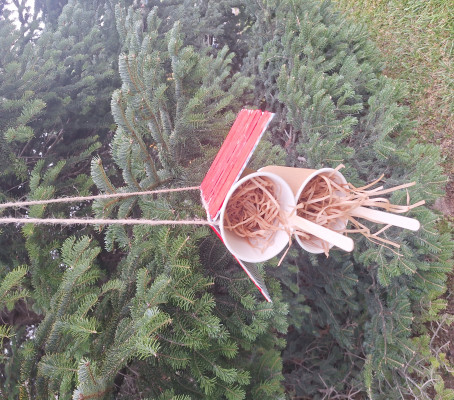 Φωτογραφία